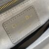 SMALL LADY DIOR BAG