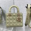 SMALL LADY DIOR BAG