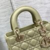 SMALL LADY DIOR BAG