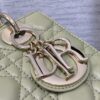 SMALL LADY DIOR BAG