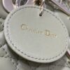 SMALL LADY DIOR BAG