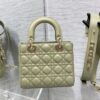 SMALL LADY DIOR BAG