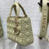 SMALL LADY DIOR BAG