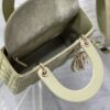 SMALL LADY DIOR BAG