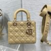 SMALL LADY DIOR BAG