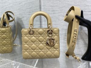SMALL LADY DIOR BAG