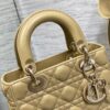 SMALL LADY DIOR BAG