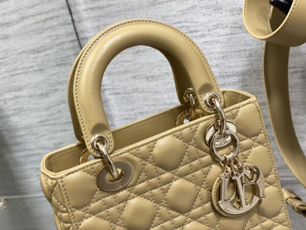 SMALL LADY DIOR BAG