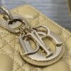 SMALL LADY DIOR BAG