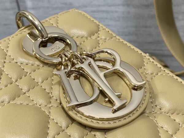 SMALL LADY DIOR BAG