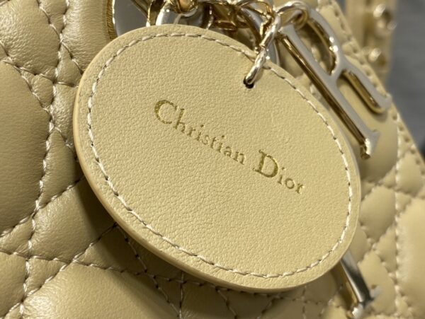 SMALL LADY DIOR BAG