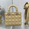 SMALL LADY DIOR BAG