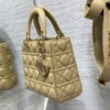 SMALL LADY DIOR BAG