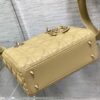 SMALL LADY DIOR BAG