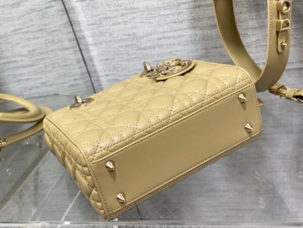 SMALL LADY DIOR BAG
