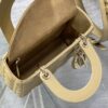 SMALL LADY DIOR BAG