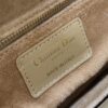 SMALL LADY DIOR BAG