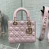 SMALL LADY DIOR BAG