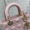 SMALL LADY DIOR BAG