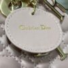 SMALL LADY DIOR BAG