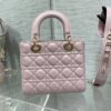 SMALL LADY DIOR BAG