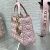 SMALL LADY DIOR BAG