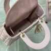 SMALL LADY DIOR BAG