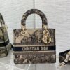 Dior Medium Lady D-Lite bag