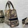 Dior Medium Lady D-Lite bag