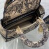 Dior Medium Lady D-Lite bag