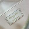 Dior Dream