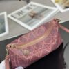 Dior Dream