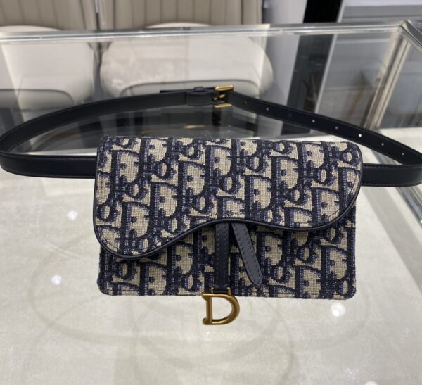 Dior SADDLE BELT POUCH