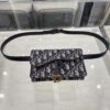 Dior SADDLE BELT POUCH