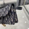 Dior SADDLE BELT POUCH