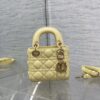 LADY DIOR MICRO BAG