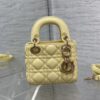LADY DIOR MICRO BAG