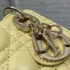 LADY DIOR MICRO BAG