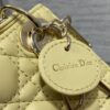 LADY DIOR MICRO BAG