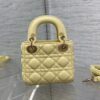LADY DIOR MICRO BAG