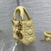 LADY DIOR MICRO BAG