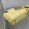 LADY DIOR MICRO BAG