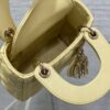 LADY DIOR MICRO BAG