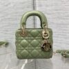 LADY DIOR MICRO BAG