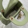 LADY DIOR MICRO BAG