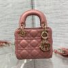 LADY DIOR MICRO BAG