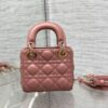 LADY DIOR MICRO BAG