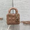 LADY DIOR MICRO BAG