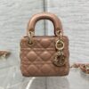 LADY DIOR MICRO BAG