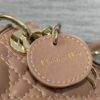 LADY DIOR MICRO BAG